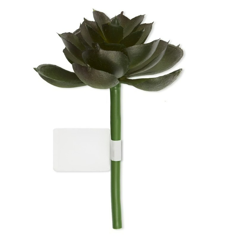 Echeveria Succulent - Artificial Succulent Pick Dark Green Echeveria