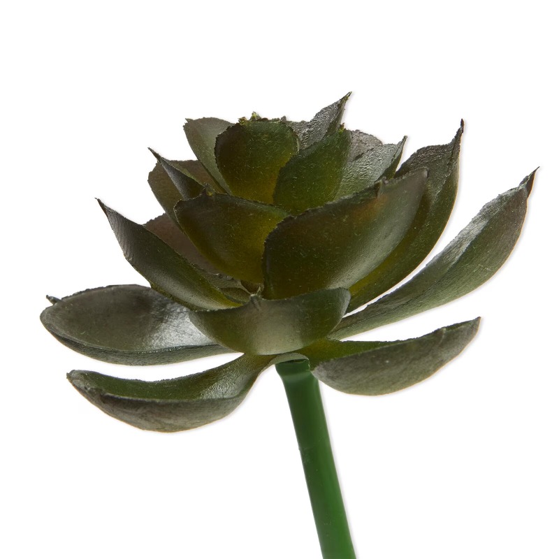 Artificial Succulent Pick Dark - đánh giá và giá Echeveria Succulent