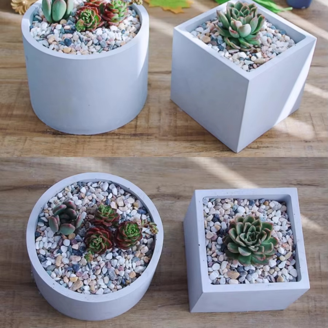 15cm Large Size Round Concrete - đánh giá và giá Echeveria Succulent