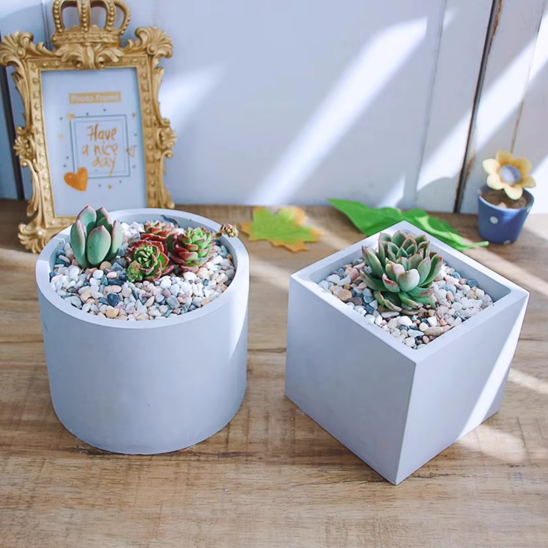 15cm Large Size Round Concrete - đánh giá và giá Echeveria Succulent